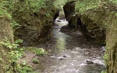 🏞️ 다루마에 협곡(타루마에 가로) 이미지 2